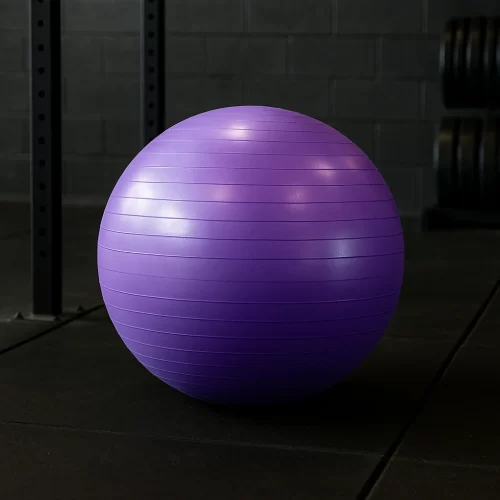 Stability Ball 55 cm AFSB-0055