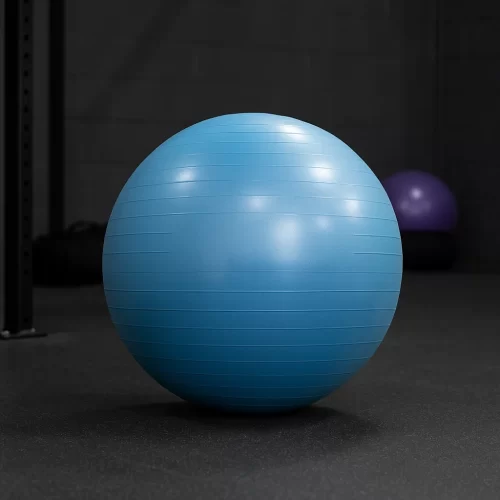 Stability Ball 65 cm AFSB-0065